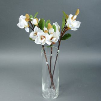 Магнолія штучна біла