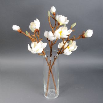 Магнолія штучна