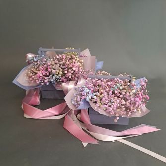 Композиція з райдужної гіпсофіли