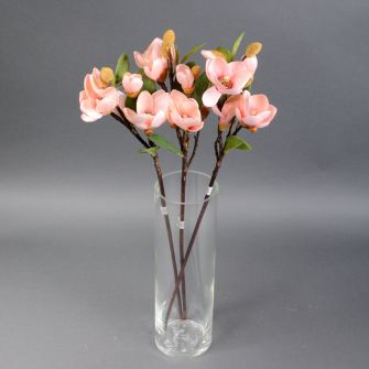 Магнолія штучна рожева