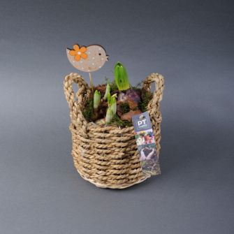 Composition "Mix in a basket"