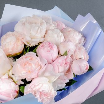 Букет із 15 півоній