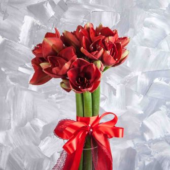 Букет із червоних амарилісів