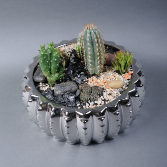 Флораріум сукулентів 10