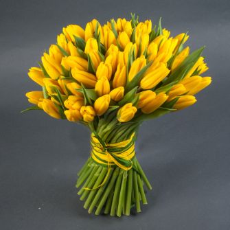 Bouquet of 75 yellow tulips