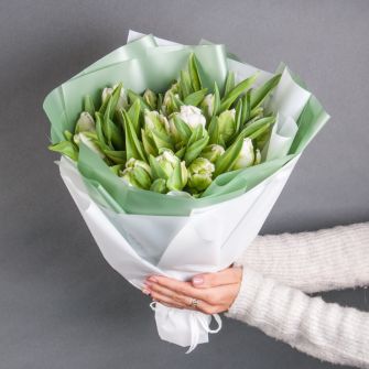 Букет із  тюльпана Пэррот