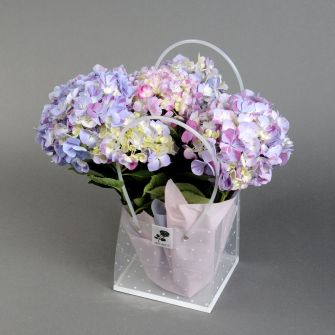 Гортензія у подарунковому пакуванні