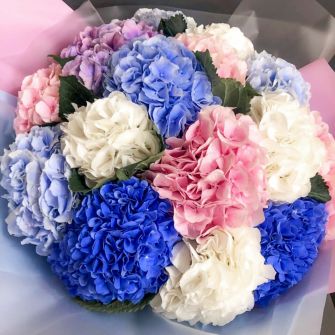 Букет із 15 гортензій «Розкіш»