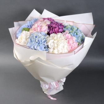 Букет із 11 гортензій мікс