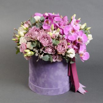 Композиція "Лавандові сни"