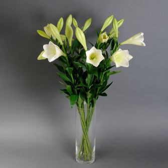 Лілея у вазі