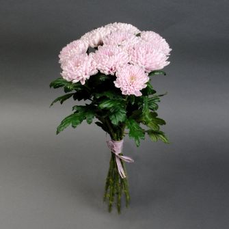 Букет хризантем "Зефір"