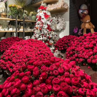 Букет "500 троянд Черрі Трендсеттер"