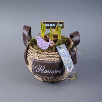 Composition "Muscari in a basket"