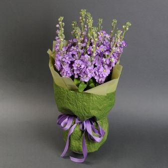 Букет фіолетових матіол