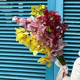 Букет із 5 орхідей Цимбідіум