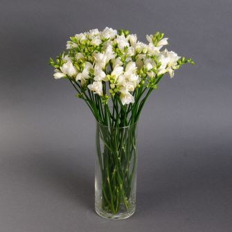 Фрезія у вазі