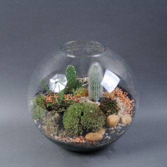 Florarium "El Cactus"