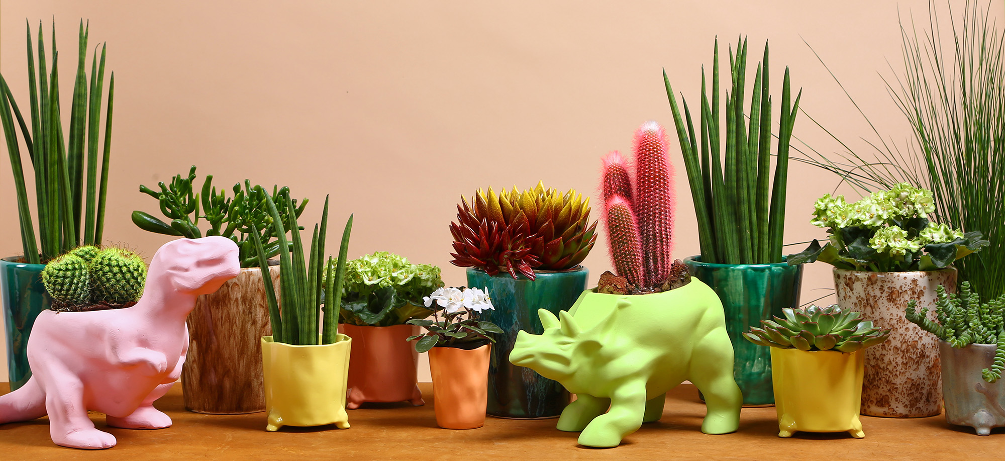 Акція дня 123