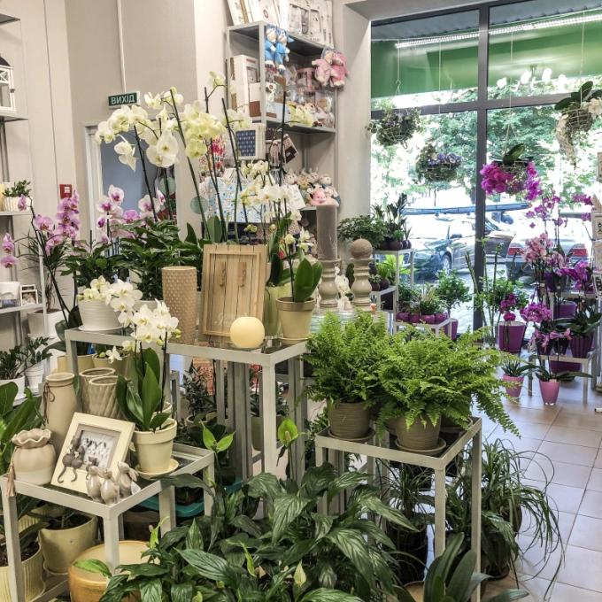 Флористичний салон «Камелія» Щербаківського