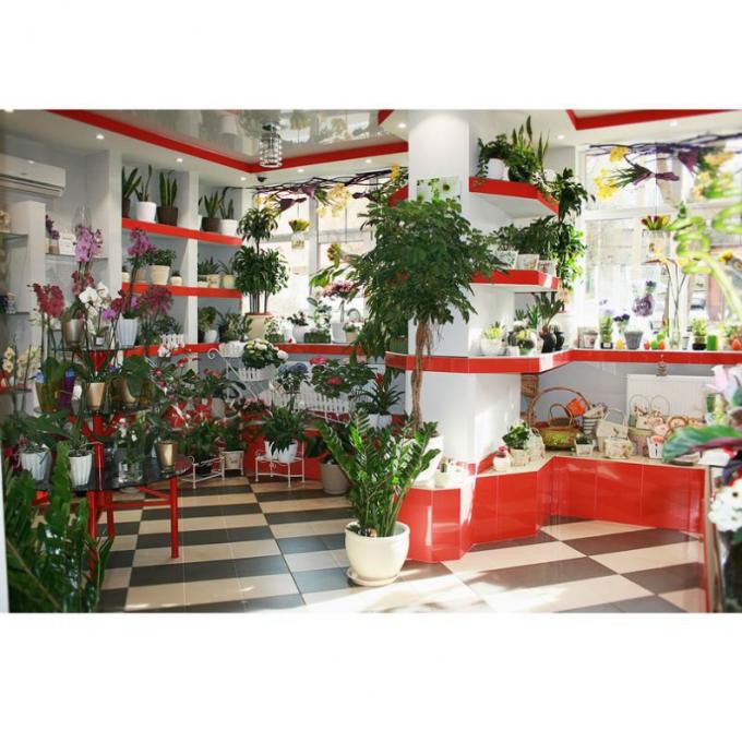 Флористичний салон «Камелія» Дмитрівська