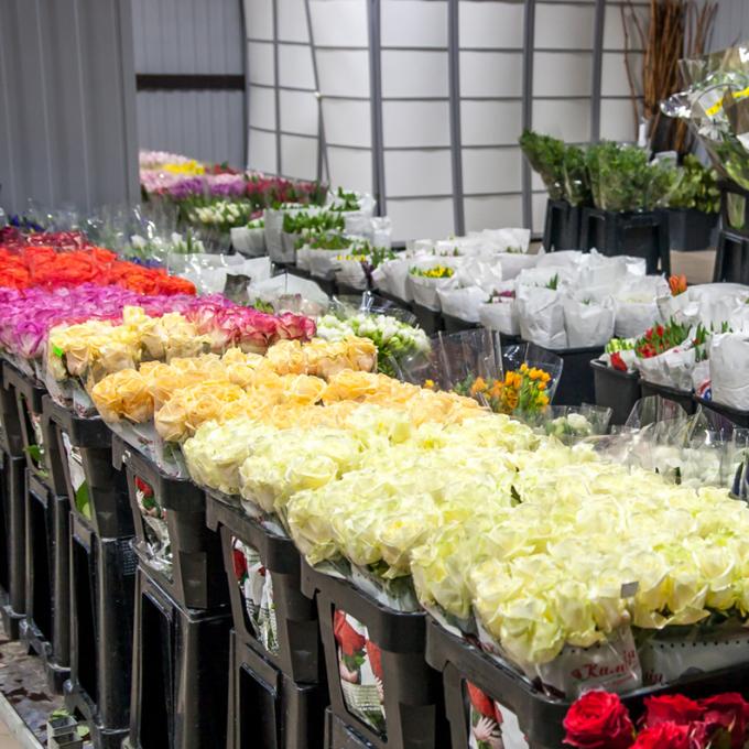 Оптово-роздрібний магазин-склад «Камелія» Ливарська